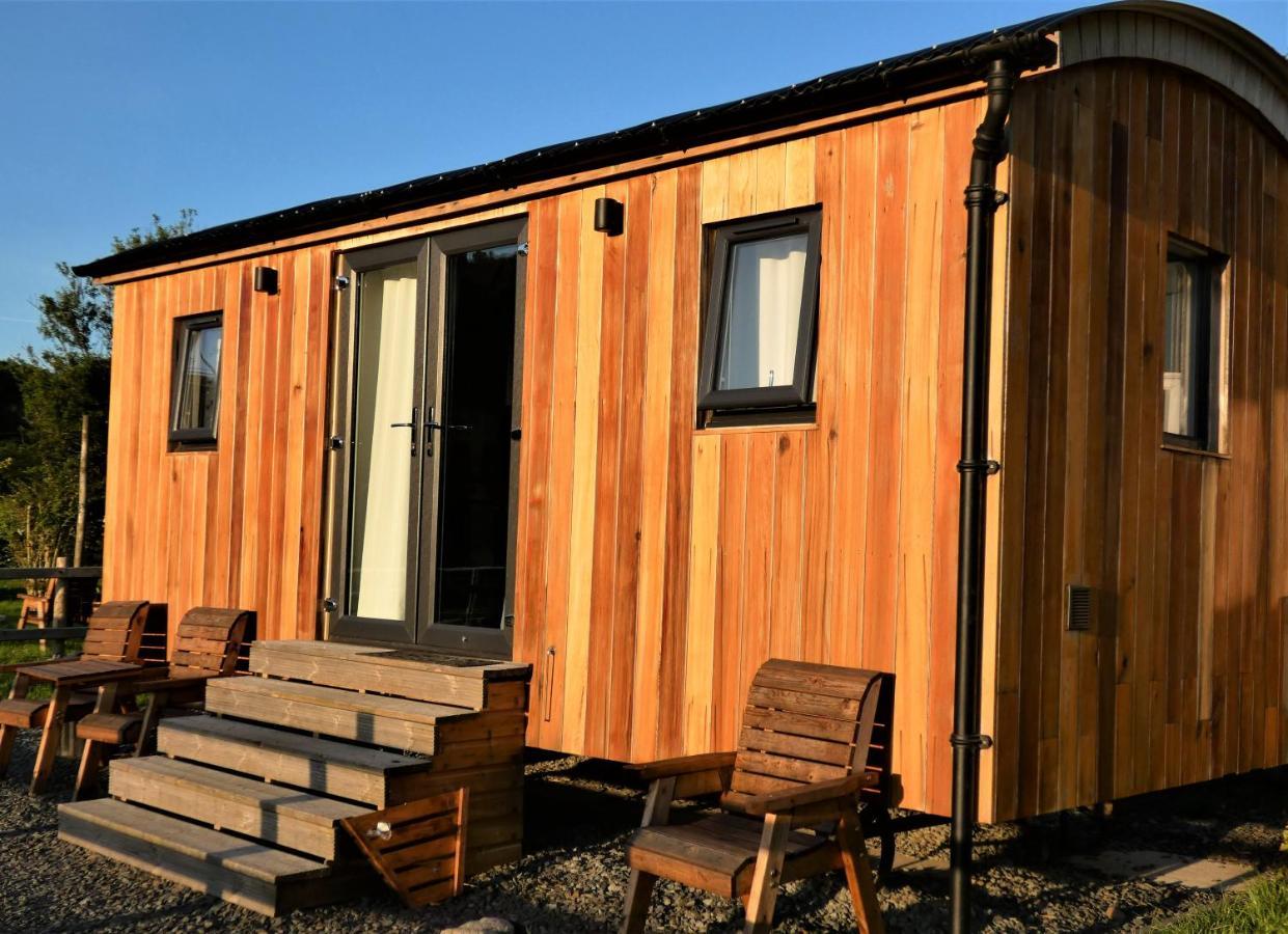 Abergwynant Farm Glamping & Apartments Dolgellau Esterno foto