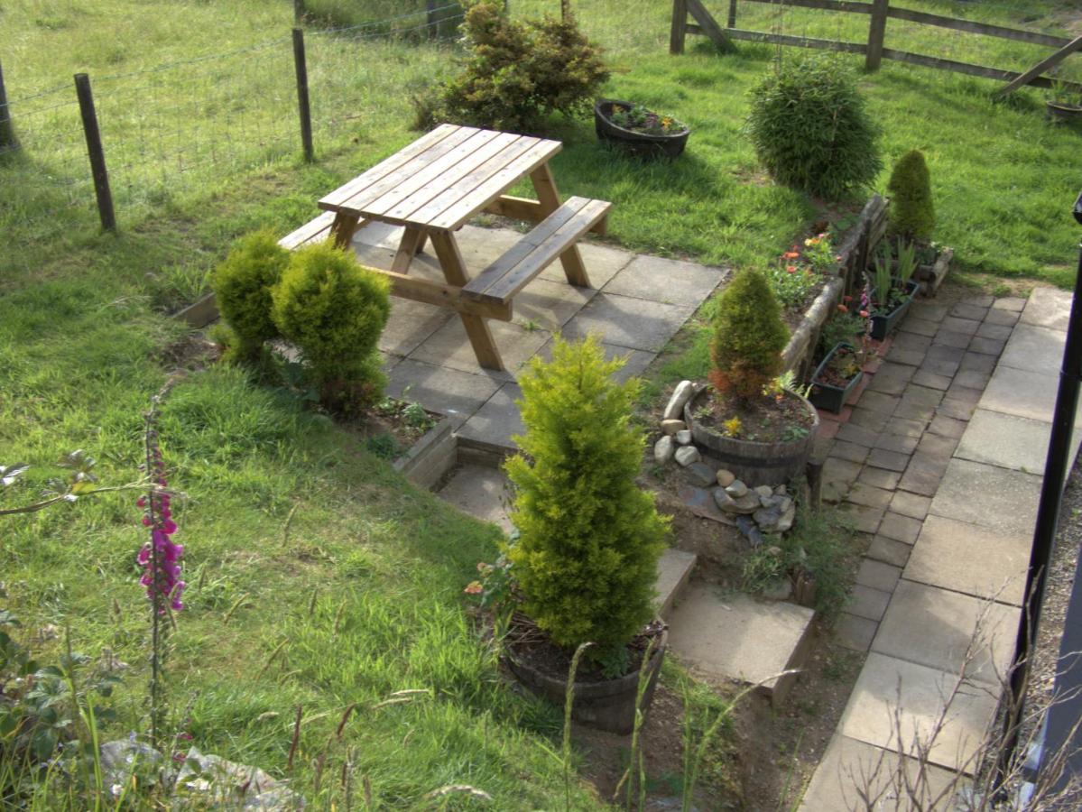 Abergwynant Farm Glamping & Apartments Dolgellau Esterno foto