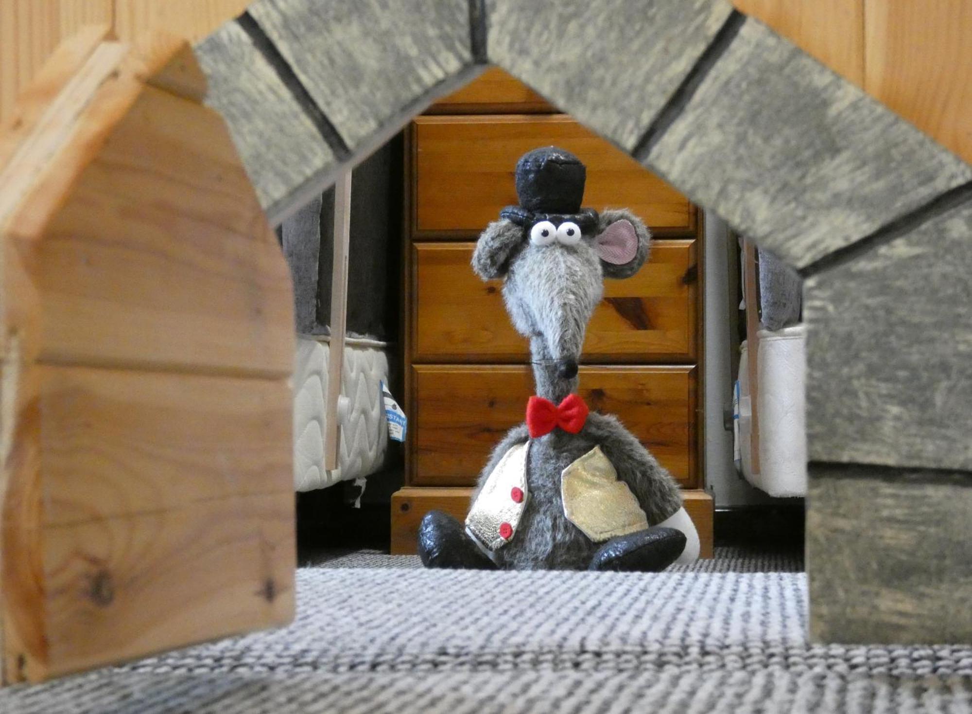 Abergwynant Farm Glamping & Apartments Dolgellau Esterno foto