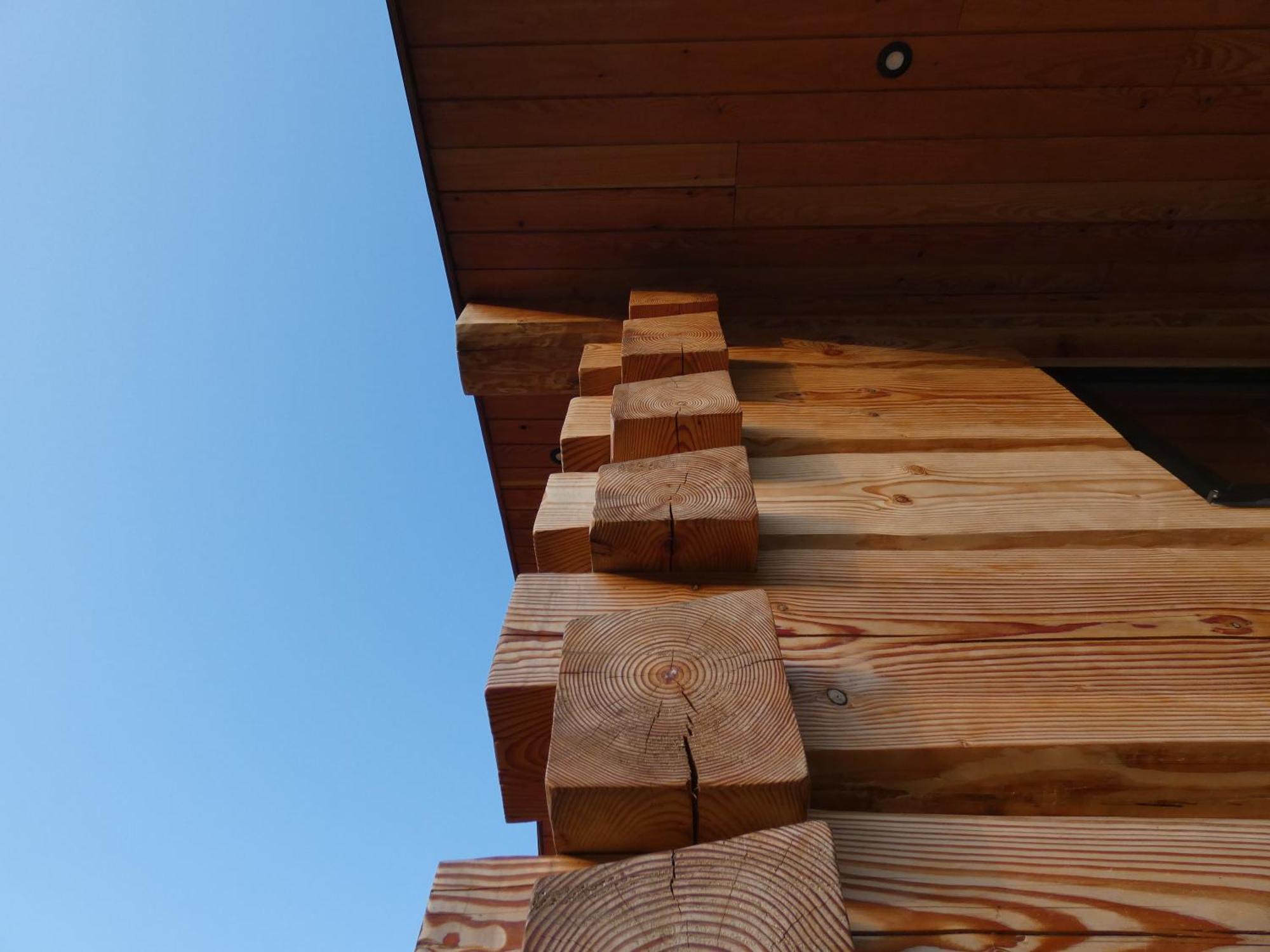 Abergwynant Farm Glamping & Apartments Dolgellau Esterno foto