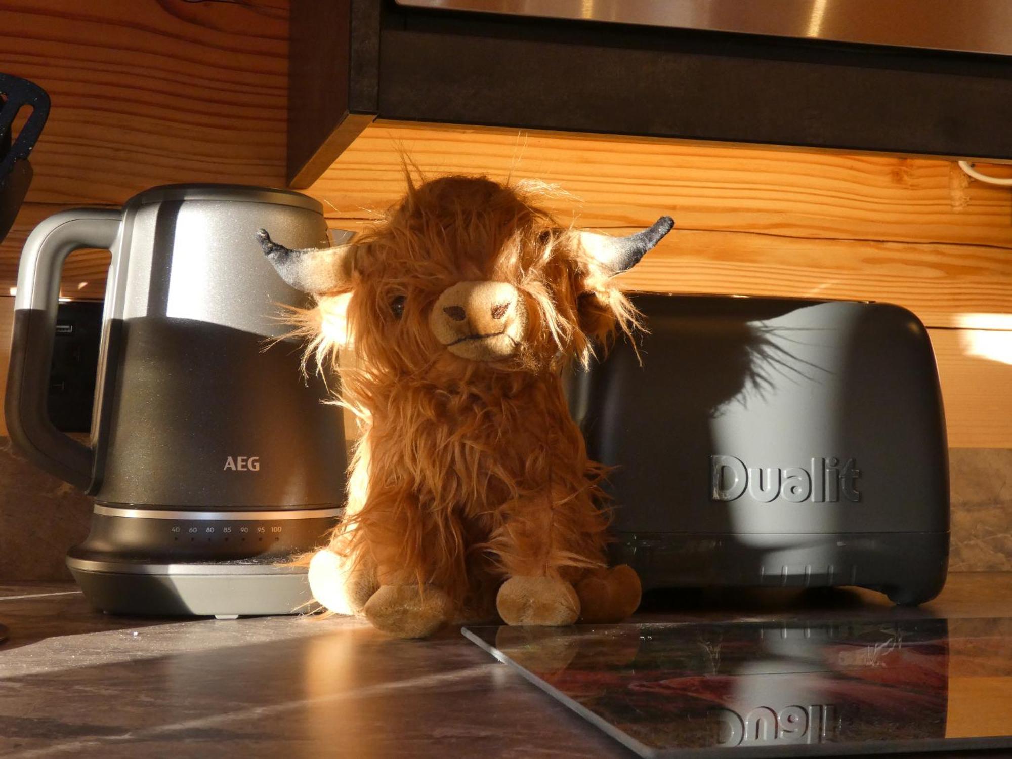 Abergwynant Farm Glamping & Apartments Dolgellau Esterno foto
